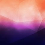 slide_img8